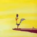 El coyote 4