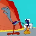 El coyote 26