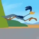 El coyote 29
