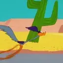 El coyote 13