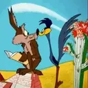 El coyote 21