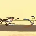 El coyote 10