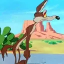 El coyote 30