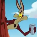 El coyote 9