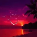 Playa ️ 1 Movi 29