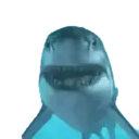 Tubarão 1 4