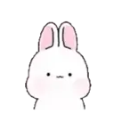 Pink Bunny Rabbit 13