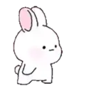 Pink Bunny Rabbit 20