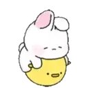 Pink Bunny Rabbit 18
