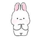 Pink Bunny Rabbit 6