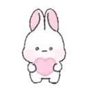 Pink Bunny Rabbit 10