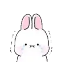 Pink Bunny Rabbit 15