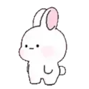 Pink Bunny Rabbit 5