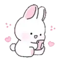 Pink Bunny Rabbit 3
