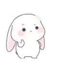 Cute Bunny rabbit 10