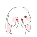 Cute Bunny rabbit 20