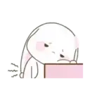 Cute Bunny rabbit 27