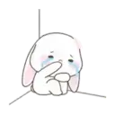 Cute Bunny rabbit 29
