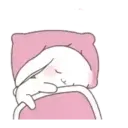 Cute Bunny rabbit 17