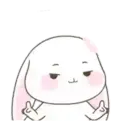 Cute Bunny rabbit 16