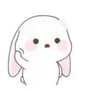 Cute Bunny rabbit 23
