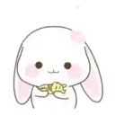 Cute Bunny rabbit 25