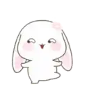 Cute Bunny rabbit 15
