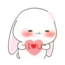 Cute Bunny rabbit 7
