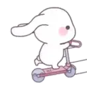 Cute Bunny rabbit 8