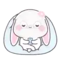 Cute Bunny rabbit 13