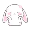 Cute Bunny rabbit 5