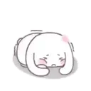 Cute Bunny rabbit 4