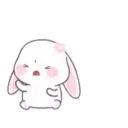 Cute Bunny rabbit 14