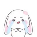 Cute Bunny rabbit 6