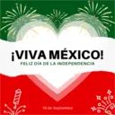 Viva México cabrones 11