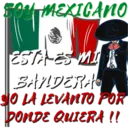 Viva México cabrones 2