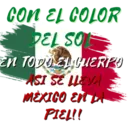 Viva México cabrones 20