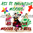 Viva México cabrones 9