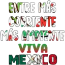 Viva México cabrones 12