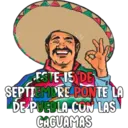 Viva México cabrones 4