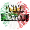 Viva México cabrones 24