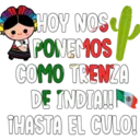 Viva México cabrones 14
