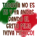 Viva México cabrones 30