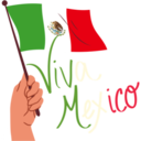 Viva México cabrones 17