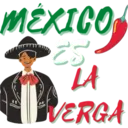 Viva México cabrones 5