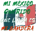 Viva México cabrones 16