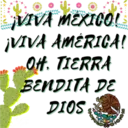 Viva México cabrones 19