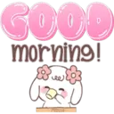 Cute bunny 24