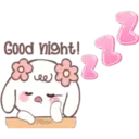Cute bunny 9