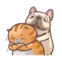 Perritos Cute  - 6 Mov.1712 15